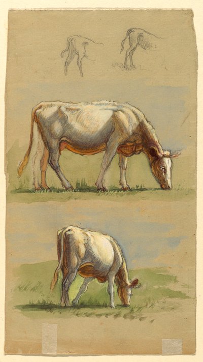 رسم، ماشية، بقرتان ترعيان وظهور العجول، 1875-80 بواسطة صموئيل كولمان