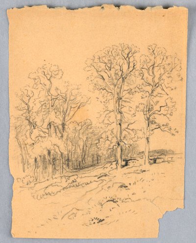 رسم، رسم تخطيطي لمنظر طبيعي مع طريق ريفي تلالي، حوالي 1881 بواسطة صموئيل كولمان