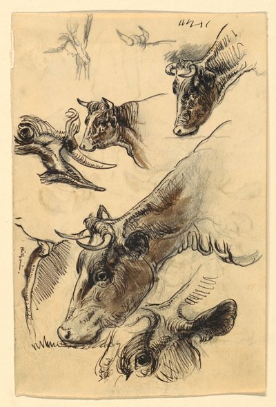 رسم، اسكتشات. ماشية، إيرفينغتون، سبتمبر 1876 بواسطة صموئيل كولمان