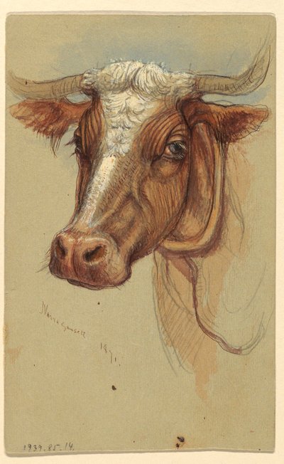 رسم، رسومات تخطيطية من ناراجانسيت، رود آيلاند، 1871 بواسطة صموئيل كولمان