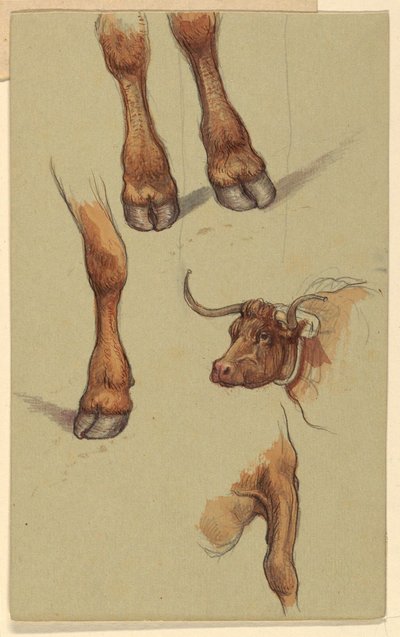 رسم، اسكتشات من ناراغينسيت، رود آيلاند، 1871 بواسطة صموئيل كولمان