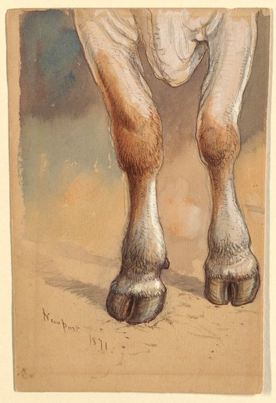 رسم، دراسات بعد الماشية، 1871 بواسطة صموئيل كولمان