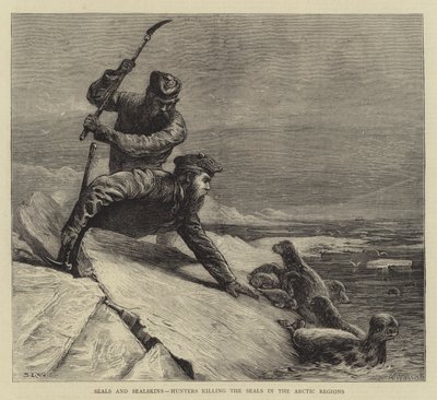 الأختام و Sealskins ، الصيادون يقتلون الأختام في مناطق القطب الشمالي بواسطة صموئيل إدموند والر