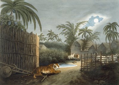 نمر يجوب قرية (الماشية في الرعب) ، من "الرياضة الميدانية الشرقية" توماس ويليامسون ، 1808 بواسطة Samuel Howett