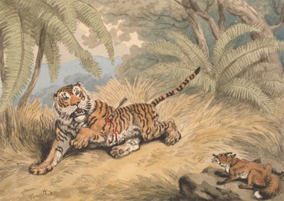 نمر مثقوب بسهم بواسطة Samuel Howitt