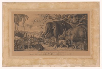 حيوانات غريبة من Royal menagerie on the Strand ، لندن رويال ميناجيري ، إكستر تشينج ، ستراند ، لندن (العنوان على الكائن) بواسطة ستيفانو بوليتو