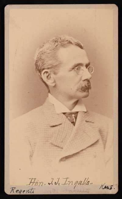 صورة لجون جيمس إينغلس 1833-1900 ، بين 1876 و 1880. بواسطة صموئيل مونتاج فاسيت
