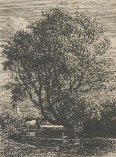 الصفصاف 1850. بواسطة صموئيل بالمر