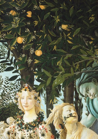 Flora, Zephyrus and Cloris, detail from The Allegory of Spring (Primavera), c. 1477-1482 (tempera on wood) بواسطة ساندرو بوتيتشيلي