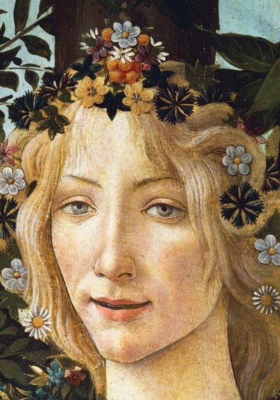 The face of Flora, detail of the allegory of spring, c.1477-1482 (tempera on wood) بواسطة ساندرو بوتيتشيلي