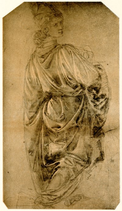 دراسة شاب بواسطة Sandro Botticelli