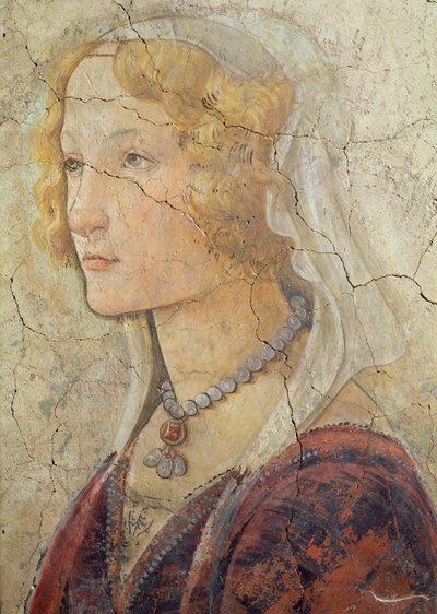 فينوس والنعم الثلاثة تقدم هدايا لفتاة ، تفاصيل رأس الفتيات ، 1486 التفاصيل الجدارية من 33760 انظر أيضًا 93892-93894 بواسطة ساندرو بوتيتشيلي