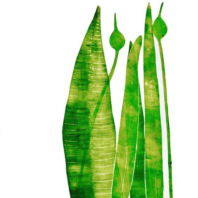 "أشياء خضراء طويلة" (طباعة أحادية) 2020 بواسطة سارة طومسون إنجلز