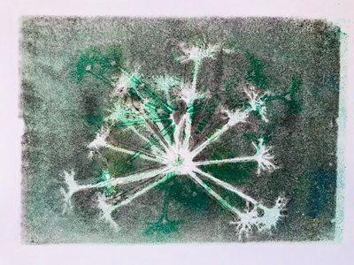 Seedhead I ، 2020 ، (monoprint) بواسطة سارة طومسون إنجلز