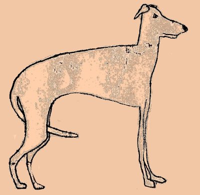 كلب نحيف بواسطة سارة طومسون إنجلز