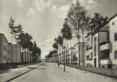 Berlin: Kolonie Fischtalgrund (b/w photo) بواسطة ساشا ستون