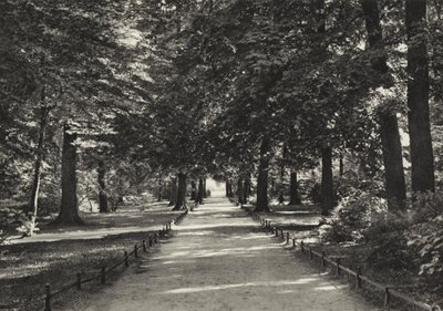 برلين: Tiergarten (صورة b / w) بواسطة ساشا ستون
