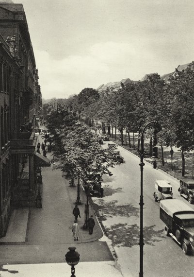 Berlin: Unter den Linden (b/w photo) بواسطة ساشا ستون