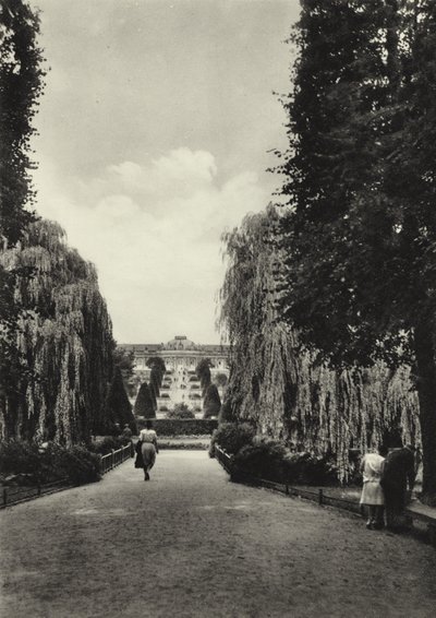 بوتسدام ، شرفات سانسوسي ؛ شرفات سانسوسي (صورة b / w) بواسطة ساشا ستون