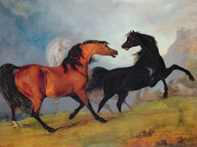 قتال الخيول بواسطة ساوري جيلبين