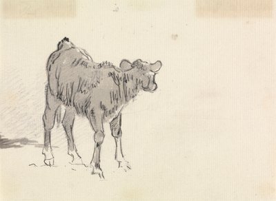 دراسة عجل بواسطة Sawrey Gilpin