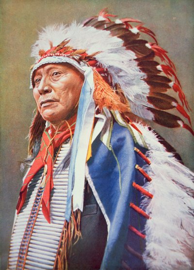 Chief Hollow Horn Bear (1850-1913) (colour litho) بواسطة المدرسة الأمريكية