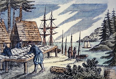 Fishermen drying cod in New England, from a 17th century woodcut (colour litho) بواسطة المدرسة الأمريكية