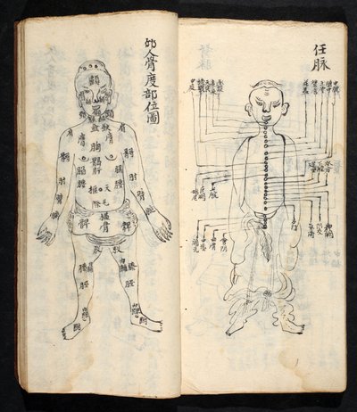 نقاط الوخز بالإبر على طول الخط المركزي للجسم ، من Jing Guan Qi Zhi ، "بدايات ونهايات نقاط وقنوات الوخز بالإبر" ، حانة. جنوب الصين ، أوائل القرن الثامن عشر (حبر على ورق) بواسطة المدرسة الصينية