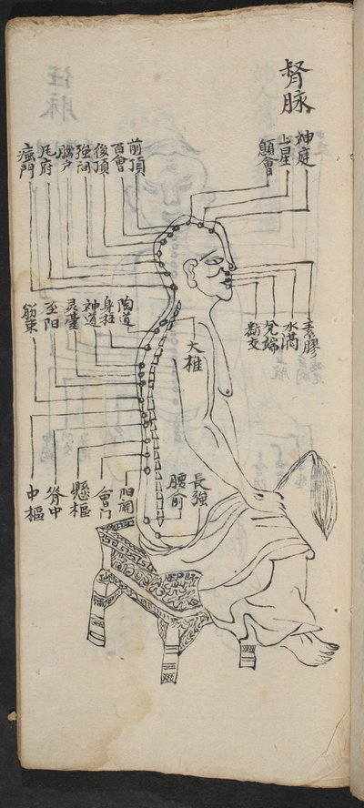 نقاط الوخز بالإبر على طول العمود الفقري والرأس ، من Jing Guan Qi Zhi ، "بدايات ونهايات نقاط وقنوات الوخز بالإبر" ، حانة. جنوب الصين ، أوائل القرن الثامن عشر (حبر على ورق) بواسطة المدرسة الصينية