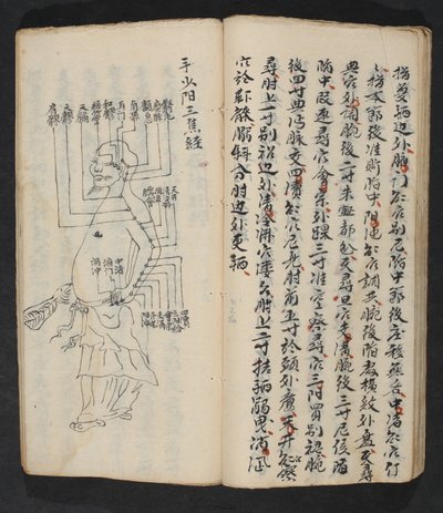 نقاط الوخز بالإبر على الذراع والرقبة وقاعدة الرأس ، من Jing Guan Qi Zhi ، "بدايات ونهايات نقاط وقنوات الوخز بالإبر" ، الحانة. جنوب الصين ، أوائل القرن الثامن عشر (حبر على ورق) بواسطة المدرسة الصينية