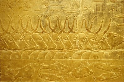  بواسطة المدرسة المصرية