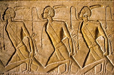 مصر القديمة، لوحة / نقش على الحائط، صف من الأسرى يمثلون الشعب الكوشي، مصورون على أنهم أفارقة هزمهم رعمسيس الثاني، معبد رعمسيس الثاني، أبو سمبل بواسطة المدرسة المصرية