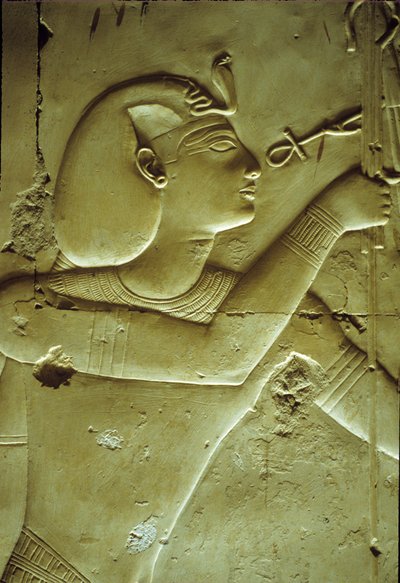مصر القديمة، الرسم على الجدران/النحت، سيتي الأول يتلقى الحياة، يرمز إليه بالعنخ، معبد سيتي الأول، أبيدوس بواسطة المدرسة المصرية