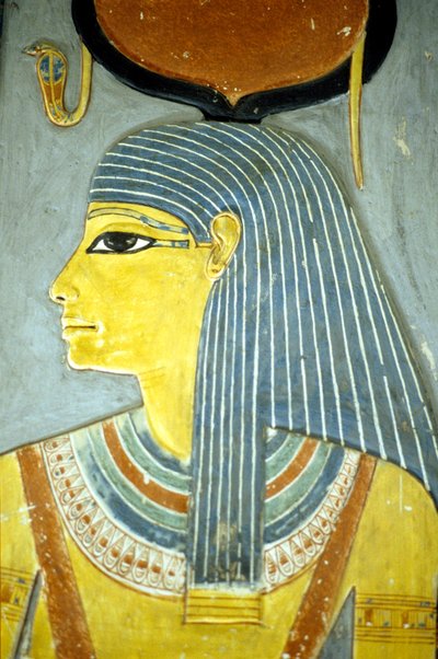  بواسطة المدرسة المصرية