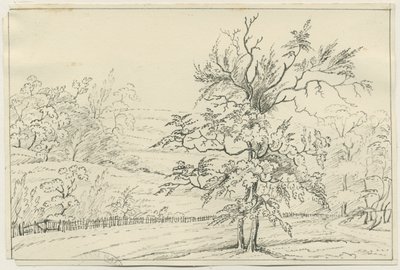 كانوك تشيس: الرسم بالقلم الرصاص والقلم الرصاص ، [؟ القرن التاسع عشر] (رسم) بواسطة مدرسة اللغة الإنجليزية