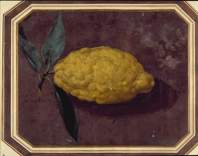 A Lemon (watercolor on paper) بواسطة المدرسة الأوروبية
