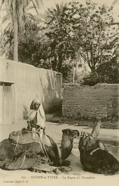 Le Repos du Chamelier، c1890-1914 (b / w photo) بواسطة المدرسة الفرنسية