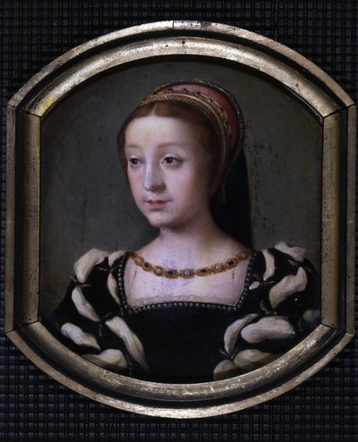 رينيه من فرنسا (1510-1575) ، دوقة شارتر ومونتارجيس ثم فيرارا ، الابنة الصغرى للويس الثاني عشر وآن من بريتاني. نسخ بواسطة M. Juilleau بواسطة المدرسة الفرنسية