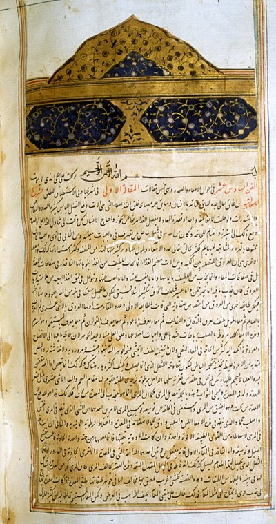 صفحة من كتاب القانون في الطب لابن سينا بواسطة المدرسة الإيرانية