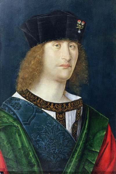 شاب بلا لحية ، ربما بارتولوميو ليفيانو دالفيانو (1455-1515) بواسطة المدرسة الايطالية