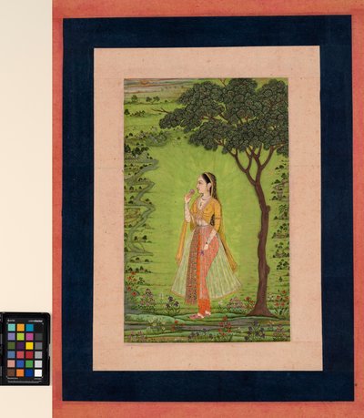 امرأة تقف بجانب شجرة ، وتحمل زهرة ، حوالي عام 1720 (معتم بدون شفّاف وذهب على ورق) بواسطة مدرسة المغول