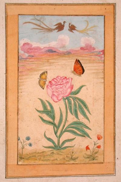 نباتات مزهرة مع طيور الجنة والفراشات ، من ألبوم كلايف الصغير (الغواش على الرق) بواسطة مدرسة المغول