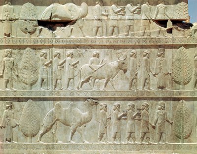 تفاصيل إفريز بارز على الدرج الشرقي إلى أبادانا (قاعة الجمهور) يصور مندوبين من الأراضي الخاضعة للإمبراطورية حاملين هدايا فخمة لمراسم ، الفترة الأخمينية ، حوالي 515 قبل الميلاد (الحجر الجيري) بواسطة المدرسة الفارسية