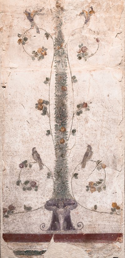 الطيور والفواكه بواسطة رواية مدرسية