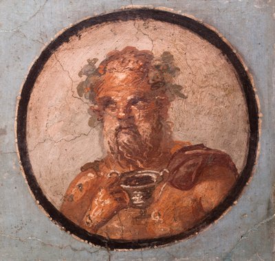 صور الميداليات، بومبيي بواسطة رواية مدرسية