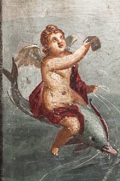 بوليفيموس وجالاتيا، هيركولانيوم بواسطة رواية مدرسية