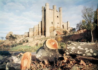 Castillo de Coyanza ، بني من القرن الرابع عشر إلى الخامس عشر من قبل Counts of Valencia (صورة) بواسطة مدرسة الاسبانية
