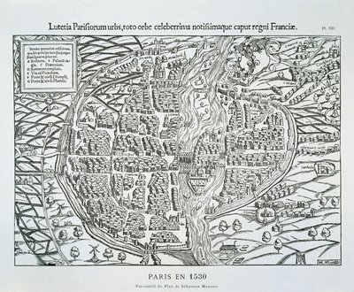 Paris city plan c.1530 (wood engraving) بواسطة سيباستيان (بعد) مونستر
