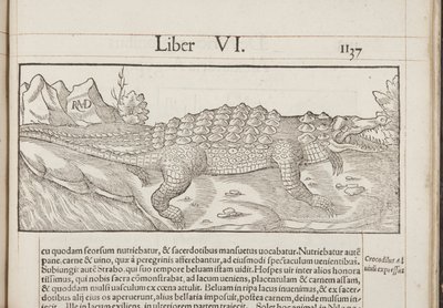 Cosmographia ، Fol 1137، 1544 بواسطة سيباستيان مونستر