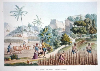 عمال المزارع ، غوام ، الفلبين ، من "رحلة أوتور دو موند (1817-20)" بقلم لويس كلود ديسولسيس دي فرايسينت (1779-1842) نقش بواسطة بوميل ، نُشر في 1822-24 (حجر ملون) بواسطة سيباستيان (ت 1832) (بعد) ليروي